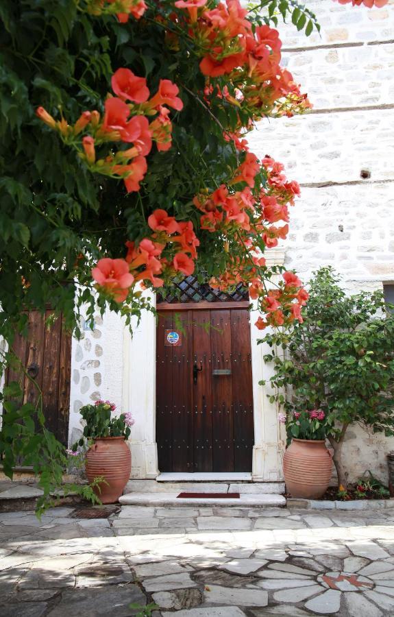 Archontiko Blana Villa Vyzítsa Dış mekan fotoğraf